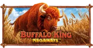 ภาพเกม Buffalo King Megaways ที่ uwin99th รวบรวมไว้